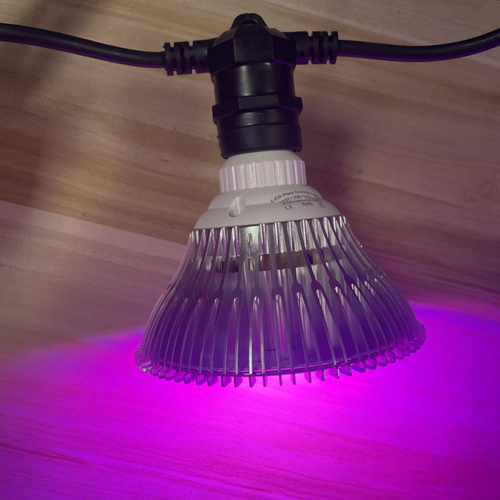 10M Kablo LED Dize Işık Zincir - Outdoor Lighting Permanent incelemesi ve fiyatı